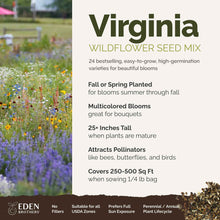 A visual overview of the wildflower seed mix, showcasing expected floral blooms.