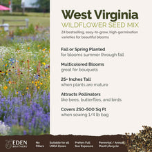 A visual overview of the wildflower seed mix, showcasing expected floral blooms.