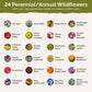 List of flower species and seeds included in the Wildflower Seed Mix.