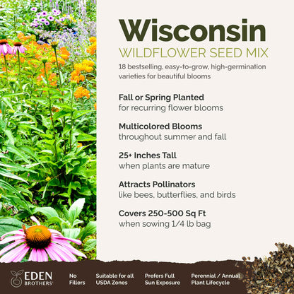 A visual overview of the wildflower seed mix, showcasing expected floral blooms.
