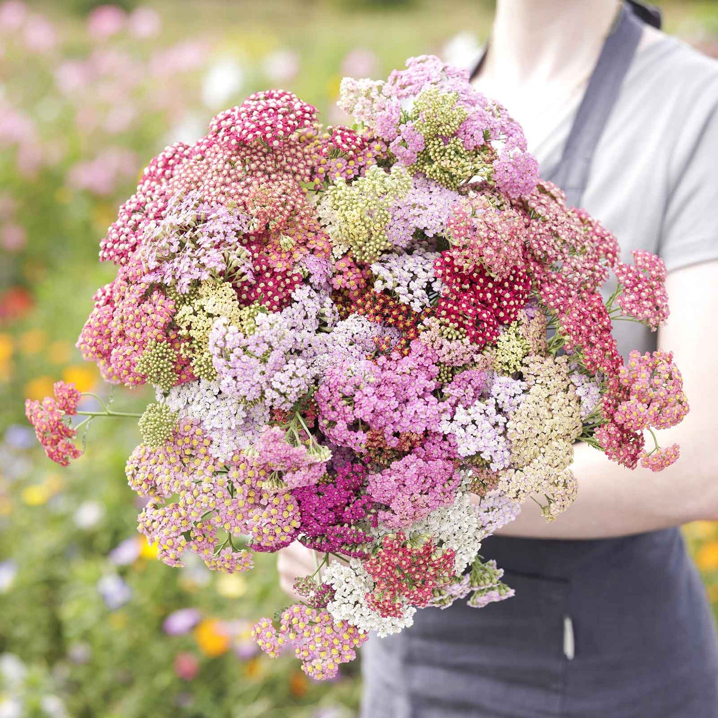 Yarrow summer pastels mix with soft pastel blooms held in an outdoor blurred setting.