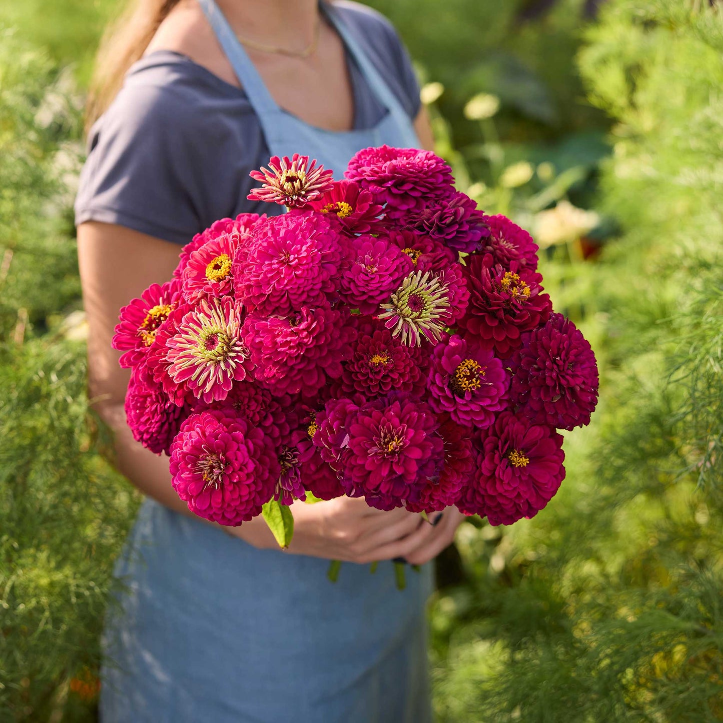 Person holding a bouquet of purple flowers from the zinnia benary orange and wine bundle in a garden setting