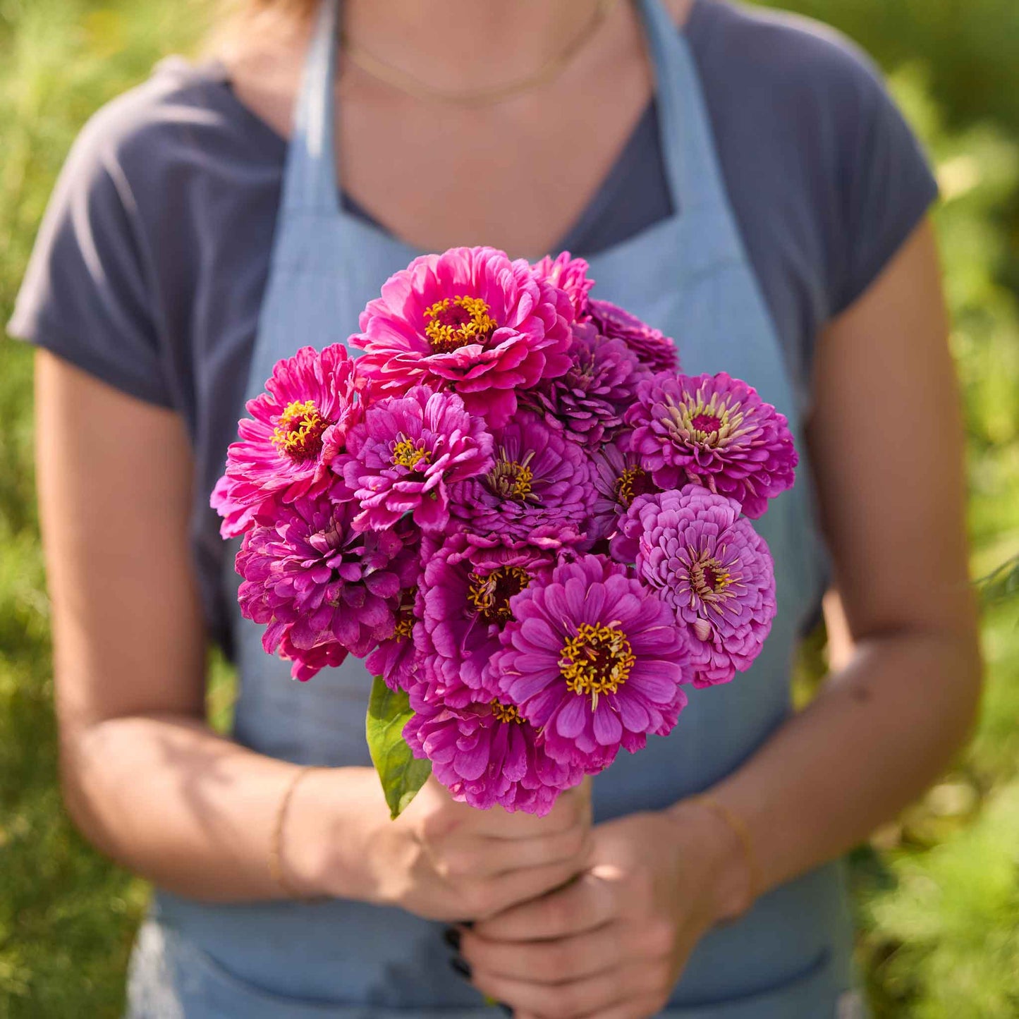 Person holding a bouquet of purple flowers from the zinnia benary giant passion bundle in a garden setting
