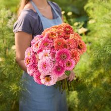 Person holding a bouquet of flowers from the zinnia benary pink coral bundle in a garden setting