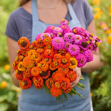 Person holding a bouquet of flowers from the zinnia lilliput orange and purple bundle in a garden setting