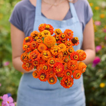 Person holding a bouquet of orange flowers from the zinnia lilliput orange and purple bundle in a garden setting