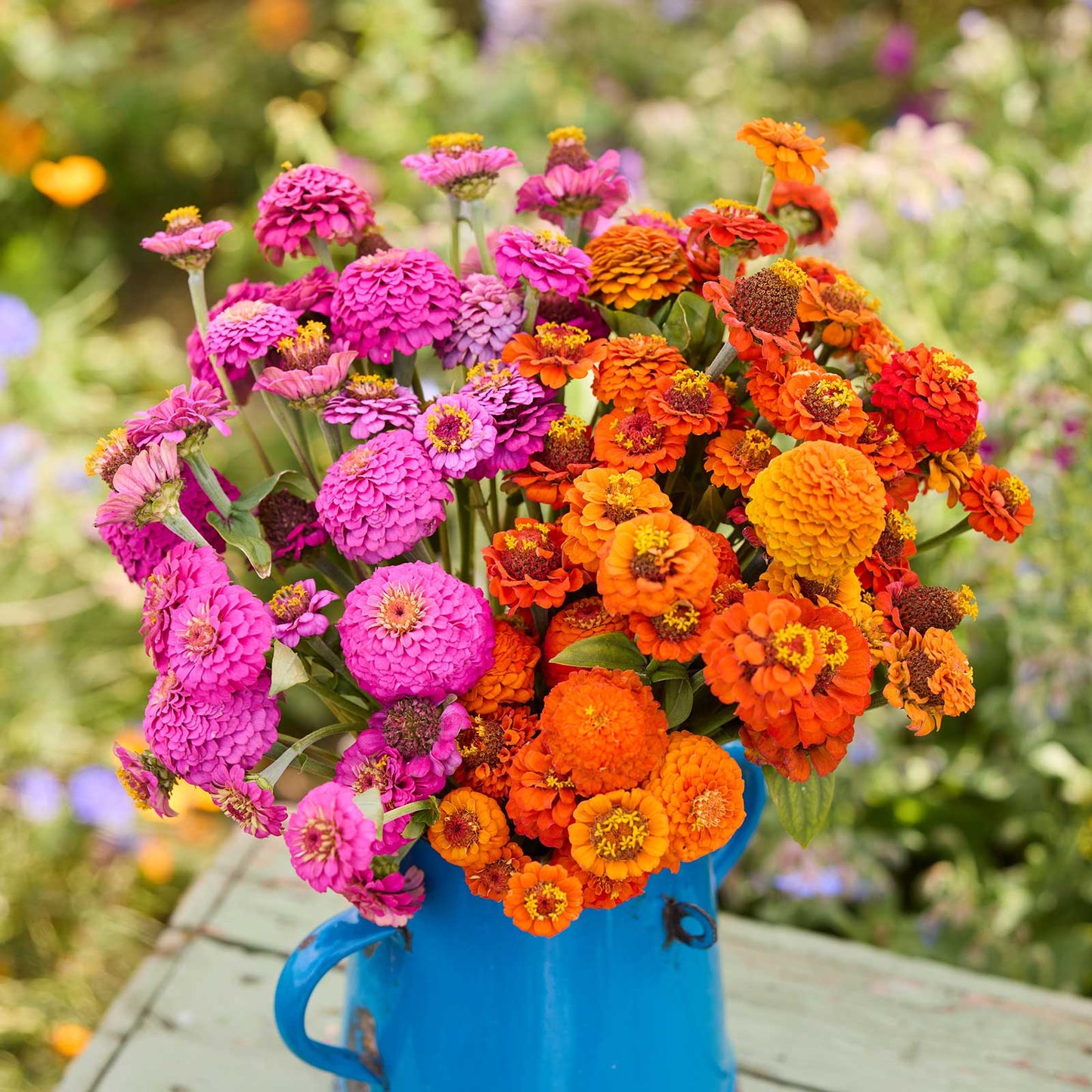 A bouquet of flowers from the zinnia lilliput orange and purple bundle in a garden setting