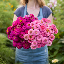 Person holding a bouquet of colorful flowers from the zinnia oklahoma bundle in a natural setting