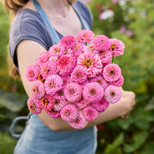 Person holding a bouquet of pink flowers from the zinnia oklahoma bundle in a natural setting