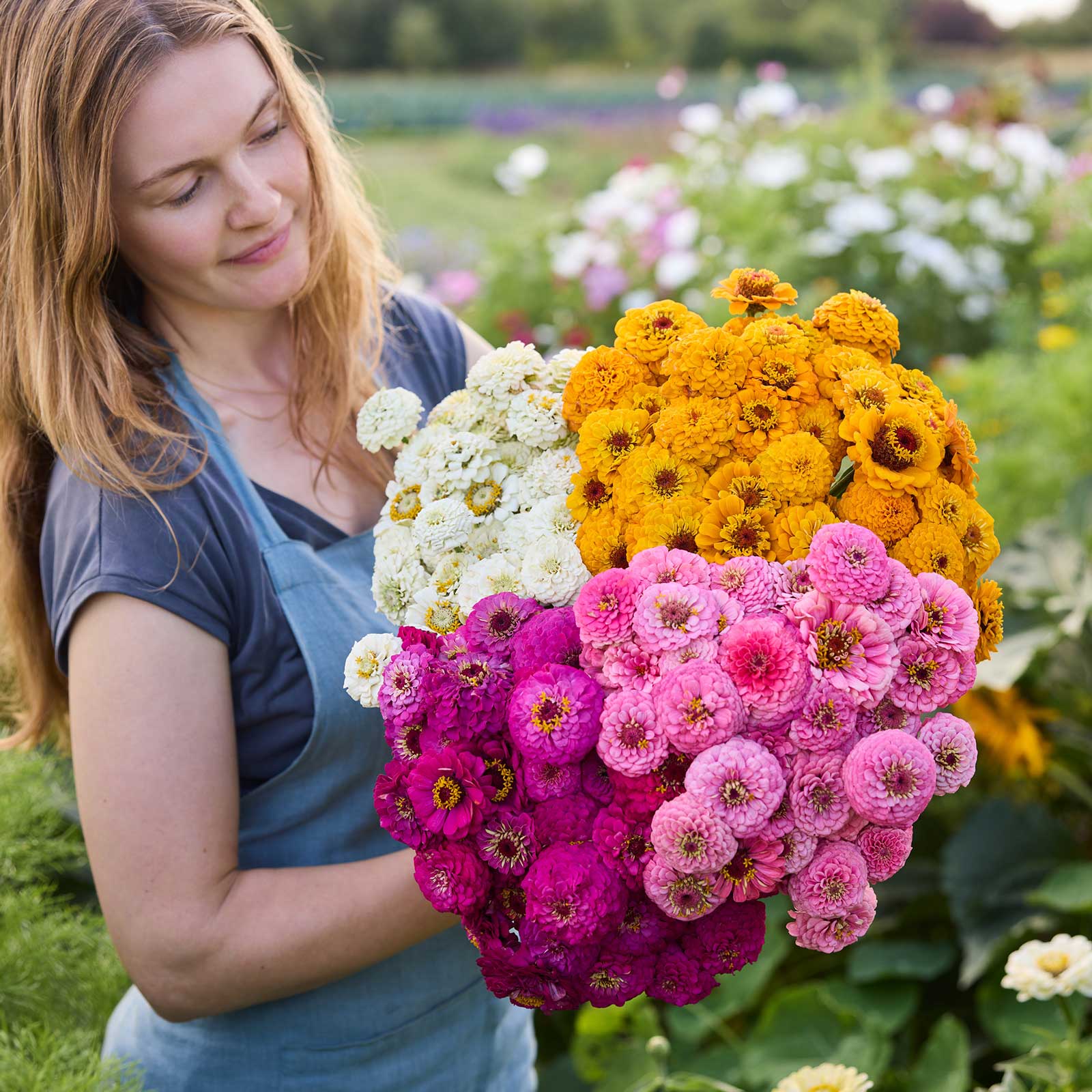 Person holding a bouquet of colorful flowers from the zinnia oklahoma series bundle in a natural setting