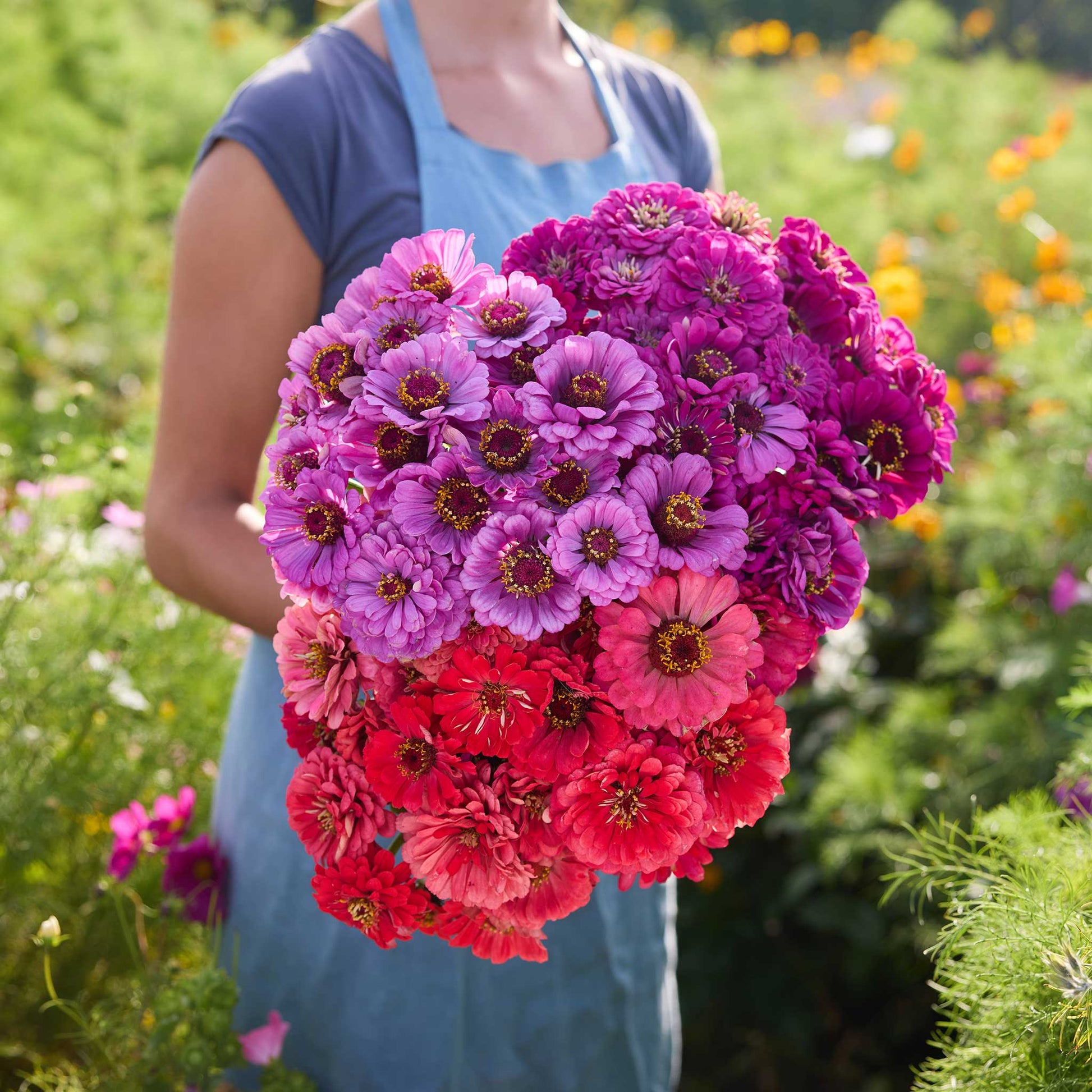 Person holding a bouquet of flowers from the zinnia packs a punch bundle in a garden setting