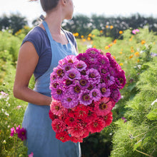 Person holding a bouquet of flowers from the zinnia packs a punch bundle in a garden setting