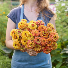 A person holding a bouquet of the zinnia bundle queeny golden sparkle in a garden setting