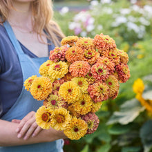 A person holding a bouquet of the zinnia bundle queeny golden sparkle in a garden setting