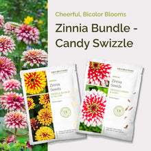 Graphic of zinnia candy swizzle bundle pack displaying a product image and contents of the bundle.