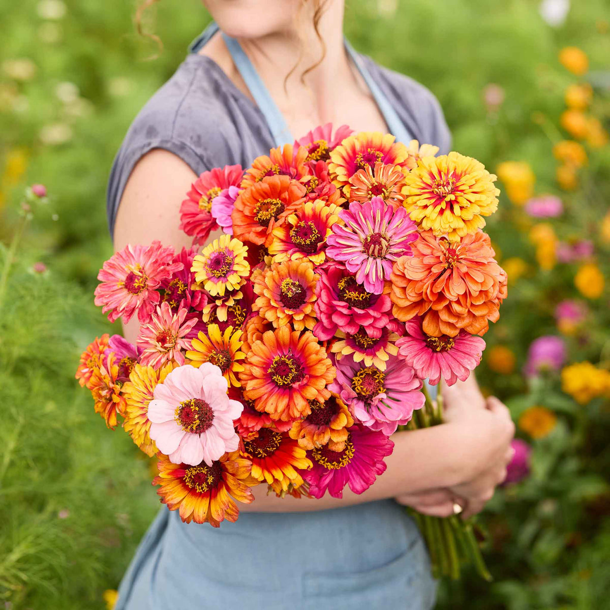 A person holding a bouquet of carrousel mixed Zinnia flowers in a field.