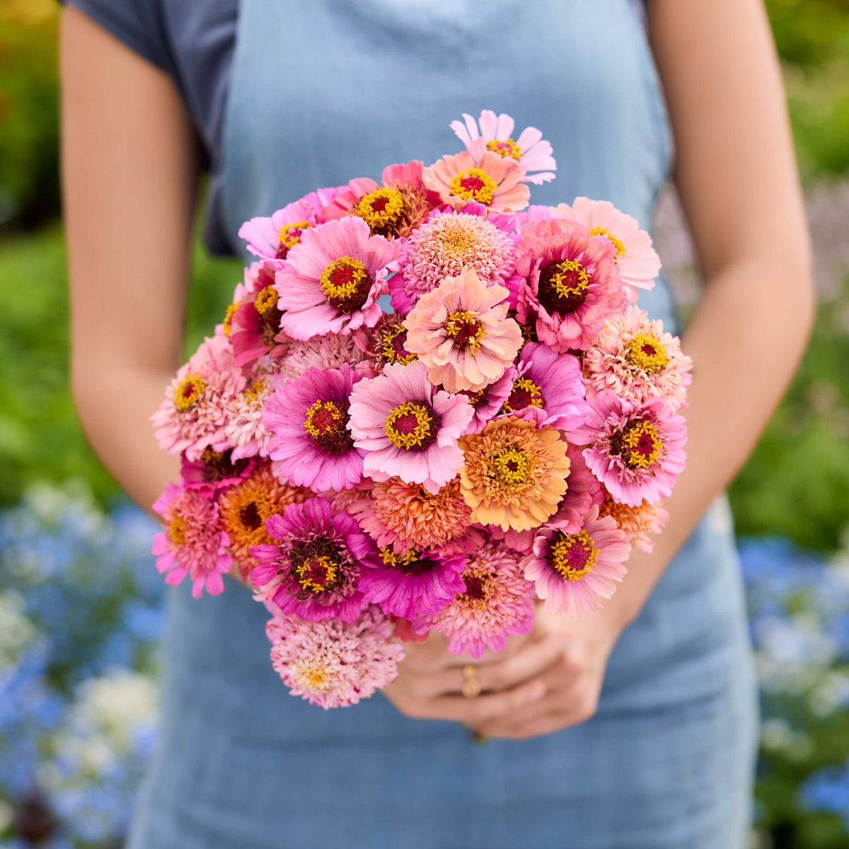 bouquet of cupcake pink mix zinnias