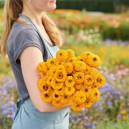 A person holding a bouquet of golden zinnia oklahoma golden yellow flowers in a garden setting.