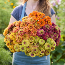 A person holding a bouquet of the zinnia bundle queeny series in a garden setting