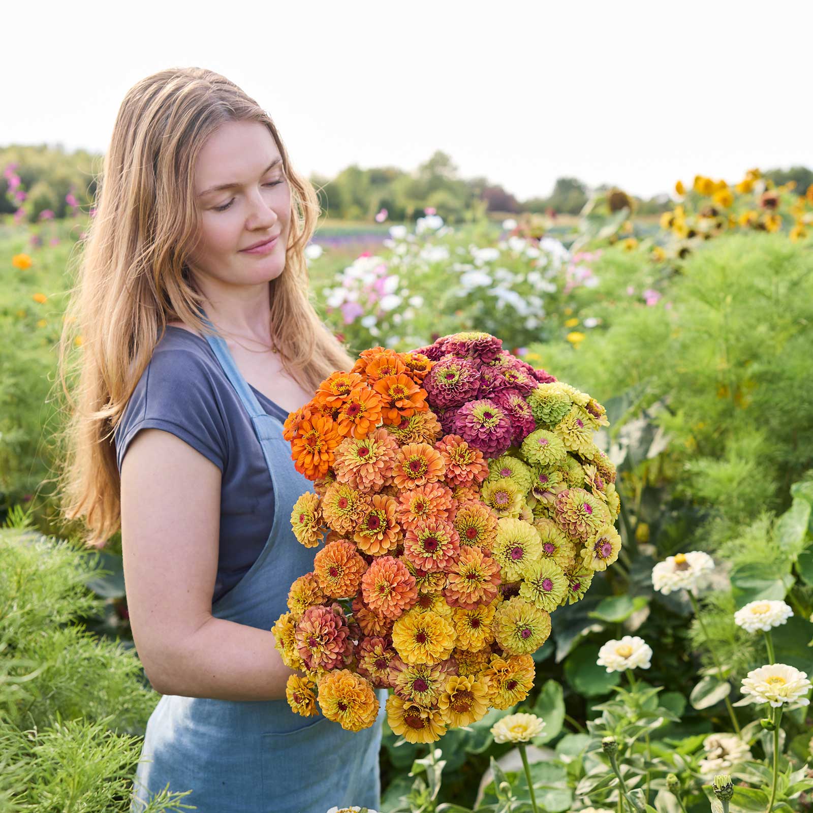 A person holding a bouquet of the zinnia bundle queeny series in a garden setting