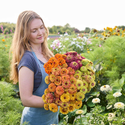A person holding a bouquet of the zinnia bundle queeny series in a garden setting