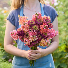 Person holding a bouquet of colorful flowers from the zinnia and snapdragon butterfly surprise bundle in a garden setting