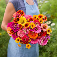 Person holding a vibrant bouquet of colorful zin master zinnia flowers in a garden setting
