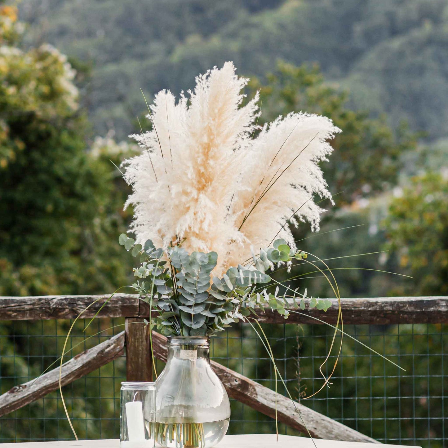 Cream-white pampas grass plumes in a cluster against a soft garden background.