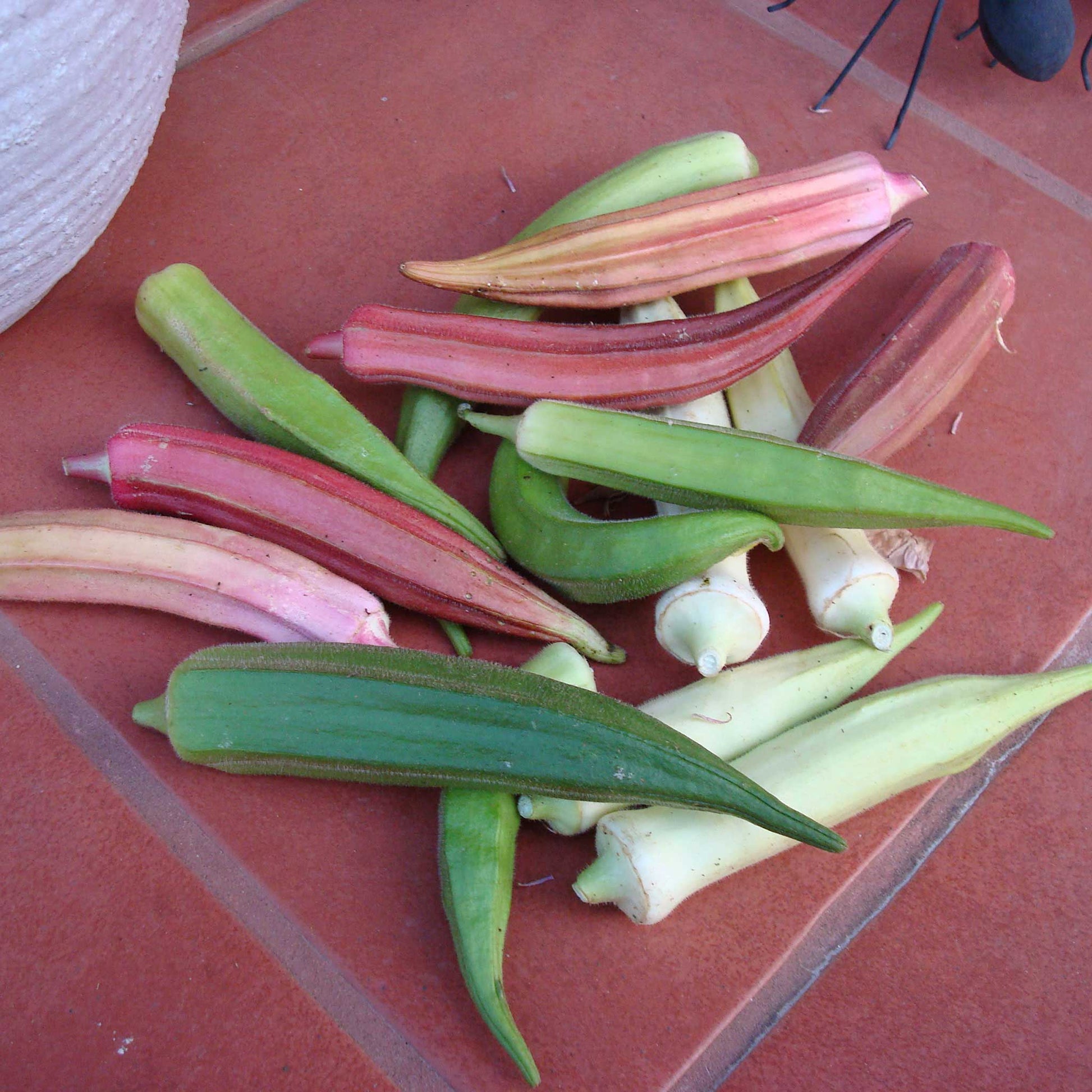 Rainbow Fiesta Okra pods in various vibrant colors, including red, yellow, and green, are scattered on a red surface.