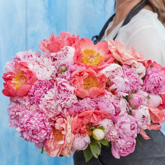 A person holding a bouquet of pastel mix peony flowers with a blue background.