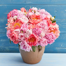 A bouquet of pastel mix peony flowers in a ceramic pot with a neutral background.