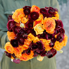 Bold red orange and dark ranunculus fire and wine mix bouquet on a warm backdrop