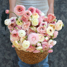 Soft pink and white ranunculus porcelaine in a woven basket on a neutral backdrop
