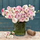 Ranunculus Bulbs - White Picotee