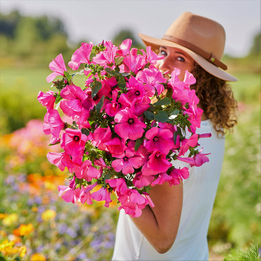 Bright pink Rose Mallow Tanagra bouquet held against a blurred sunny background