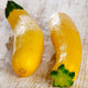 Squash Seeds (Summer) - Early Prolific Straightneck