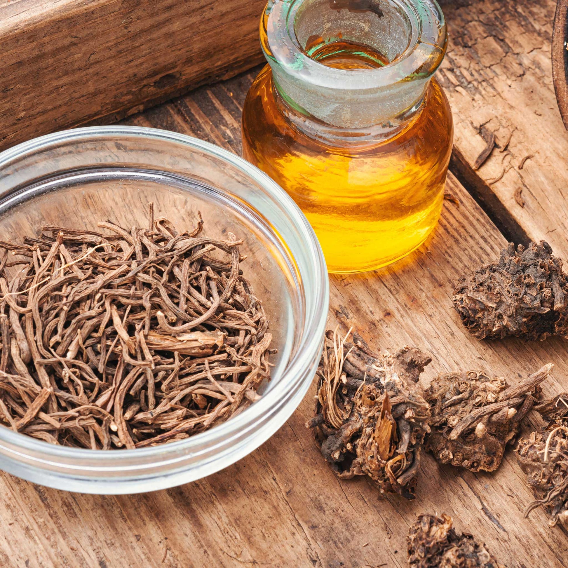 Dried Valerian herb and oil in small glass jars on a neutral background.