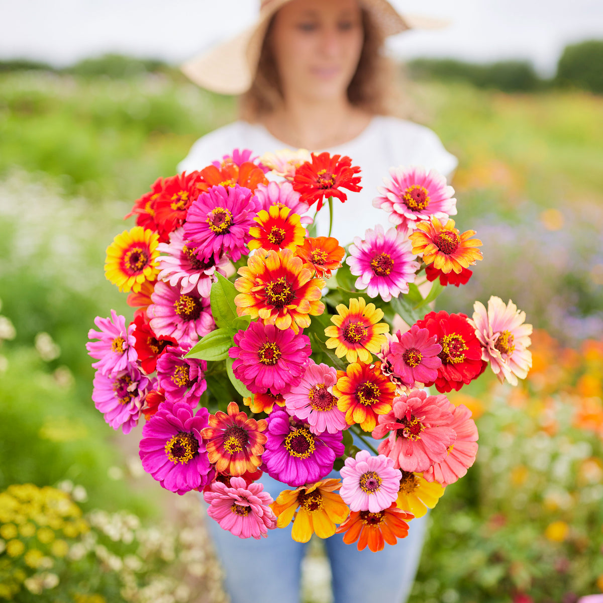 A person holding a bouquet of carrousel mixed Zinnia flowers in a field.