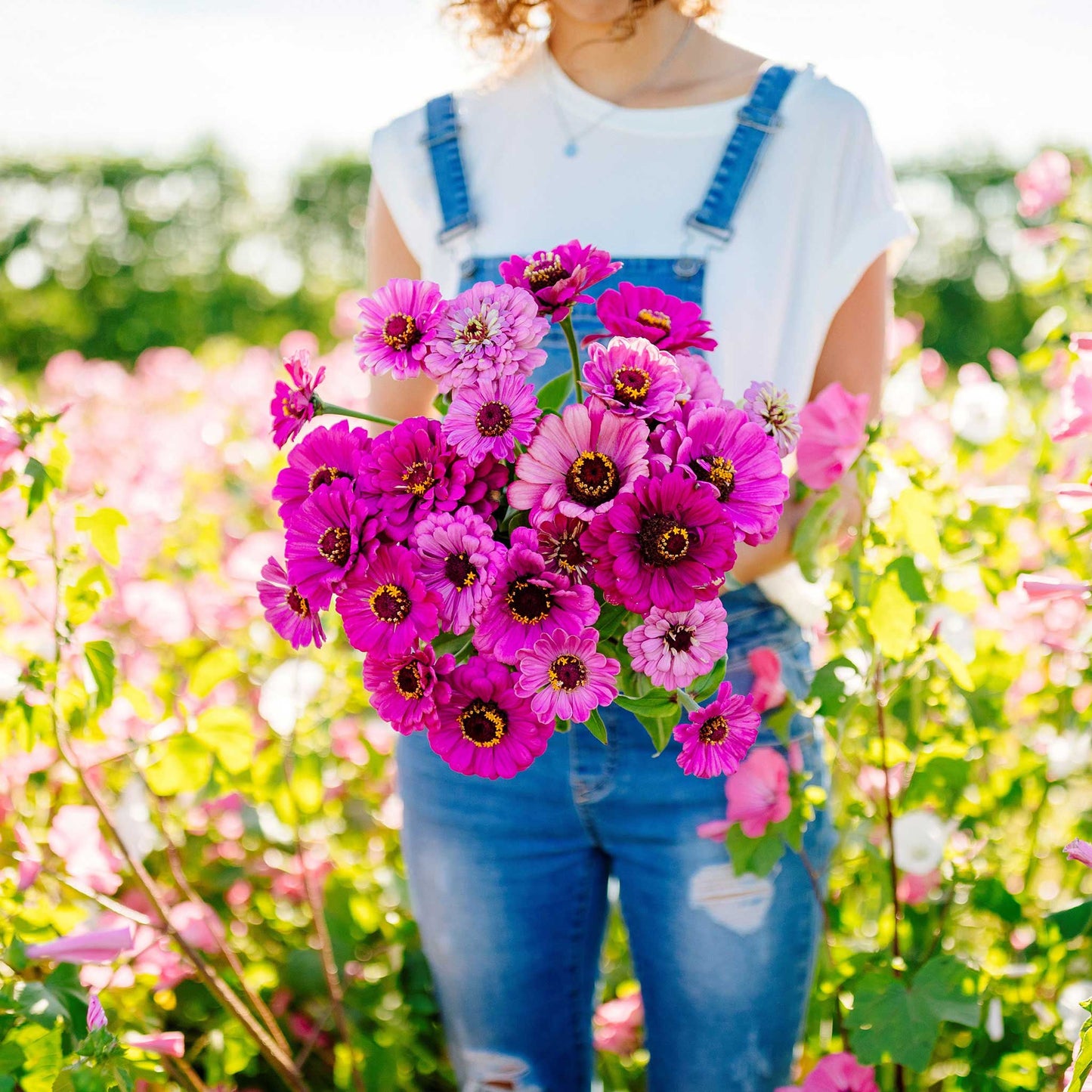A person holding a bouquet of pink Zinnia dream flowers in a garden.
